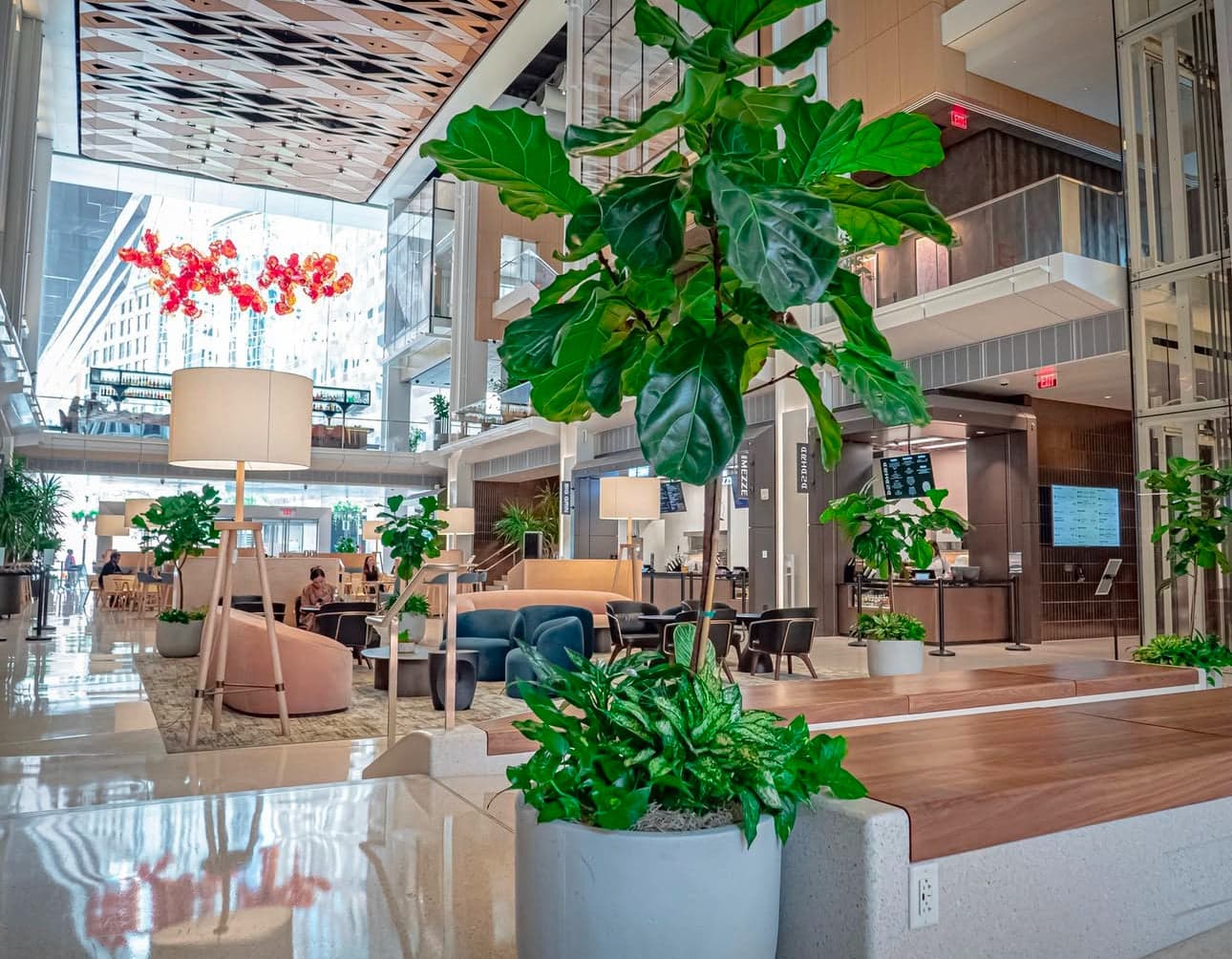 Plant Design for Interior & Event Spaces