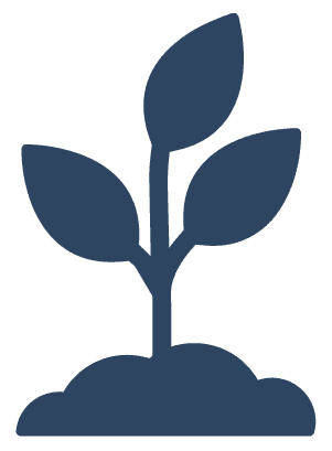 Potted Plants