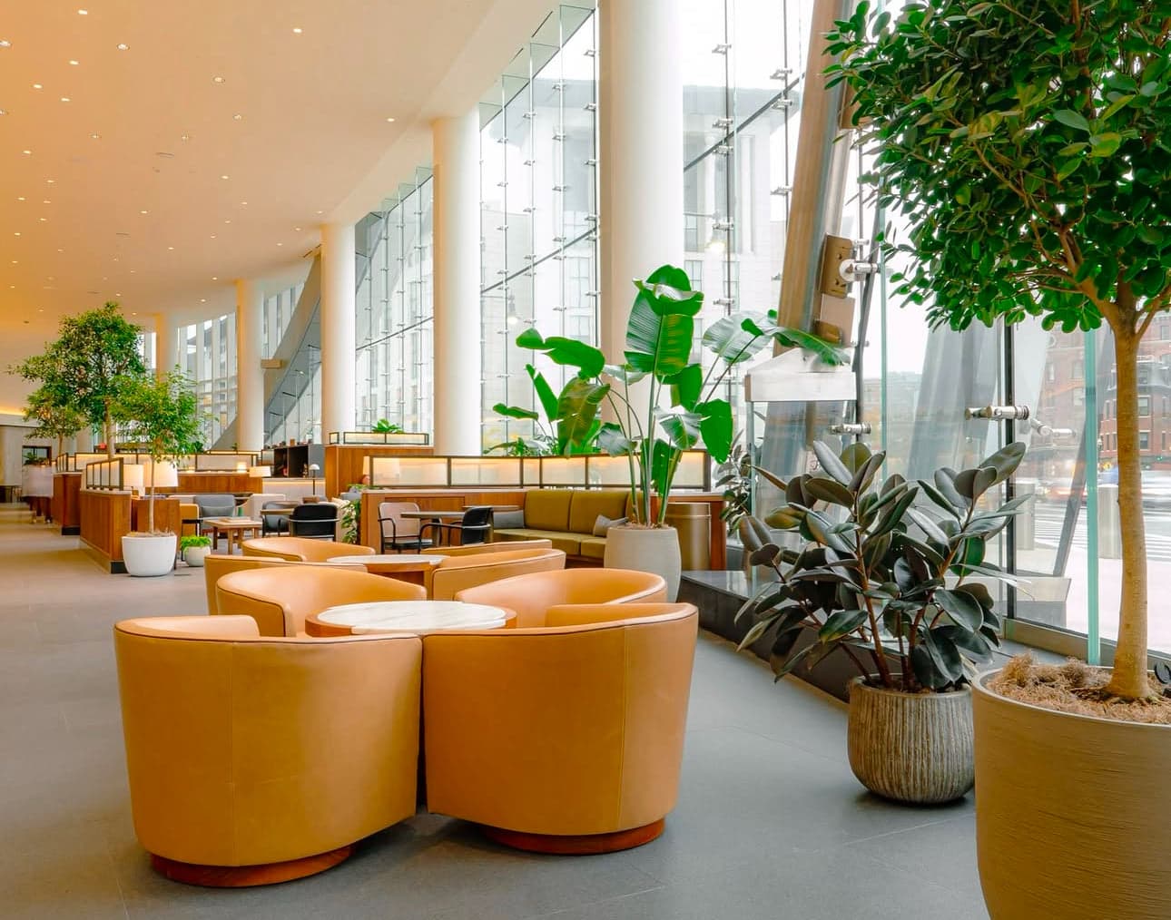 Plant Design for Interior & Event Spaces