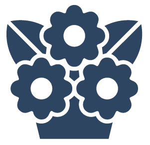 Grand Openings & Launches
